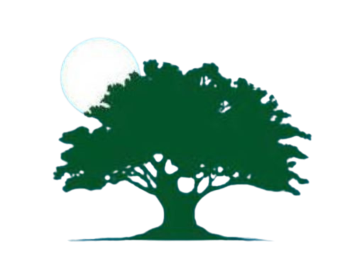 Logo Cemitério Belém Novo